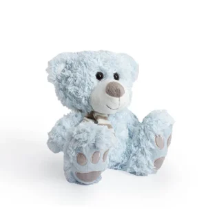Baby Boy Teddy Bear