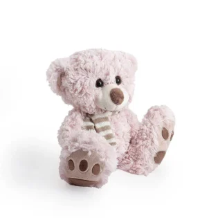 Baby Girl Teddy Bear